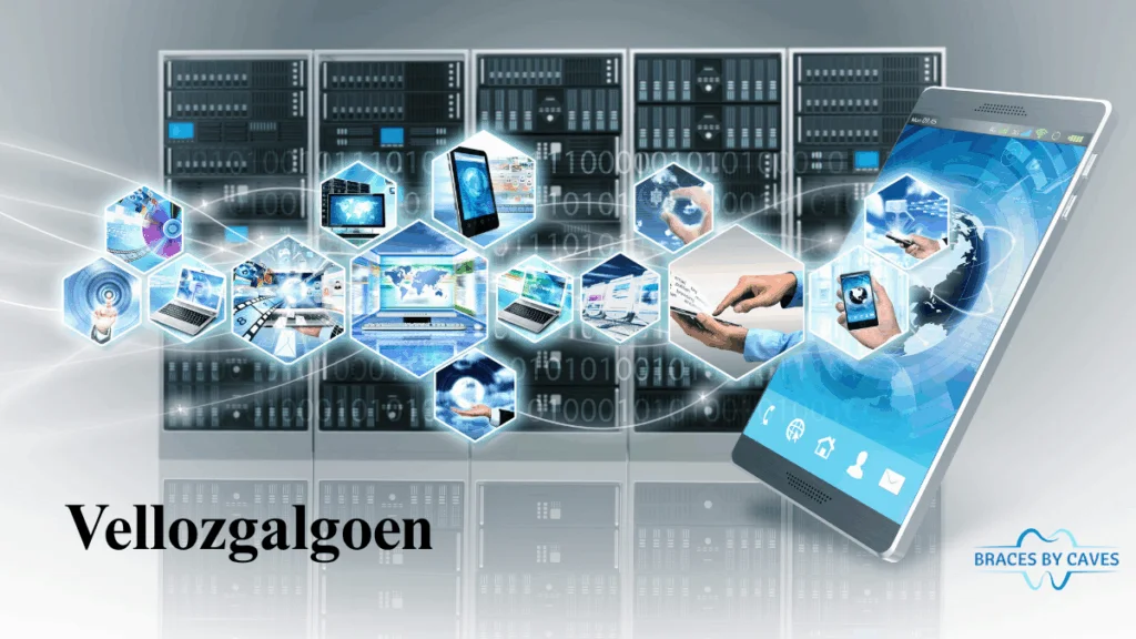 Understanding Vellozgalgoen: A Comprehensive Guide